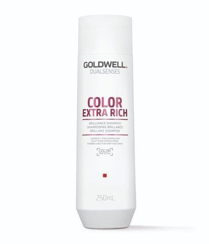 Шампунь Goldwell DSN Color Extra Rich для збереження кольору товстого та пористого волосся 250 мл 4044897029887 фото