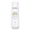 Шампунь для відновлення волосся DSN Rich Repair Goldwell 250 мл