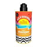 Восстанавливающий питающий шампунь Lola Cosmetics Ela E Carioca 500 мл 7899572812288 фото
