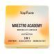 Палітра для контурингу Topface Maestro Academy Mineralist Contour 3в1, 001 Aesthetica, 8 г 8681217250741 фото 2